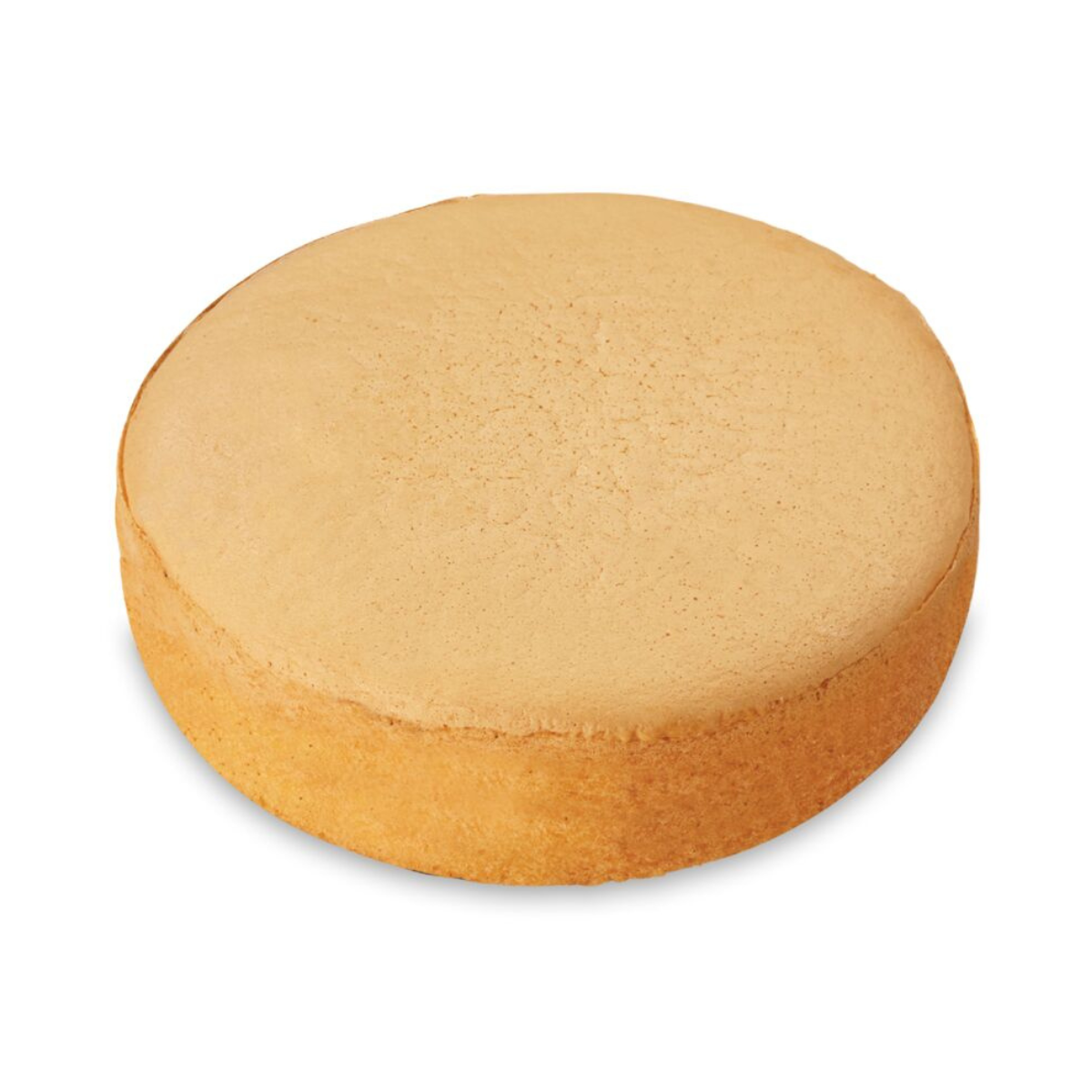 150mm (6") Vanilla Sponge